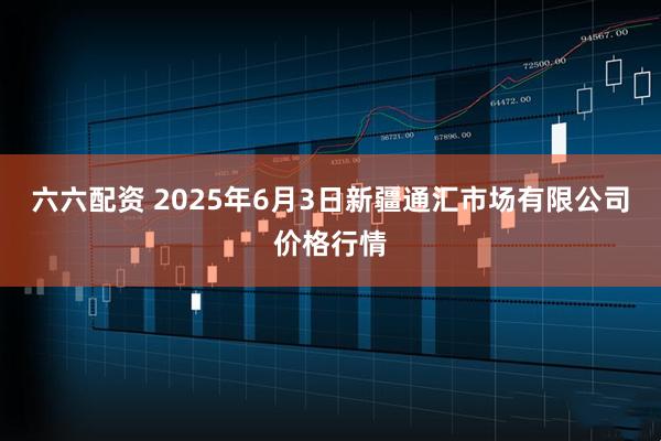 六六配资 2025年6月3日新疆通汇市场有限公司价格行情