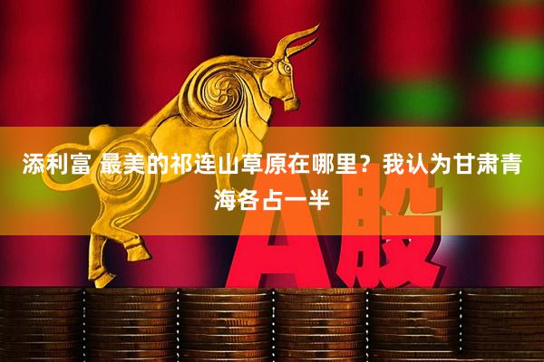 添利富 最美的祁连山草原在哪里？我认为甘肃青海各占一半