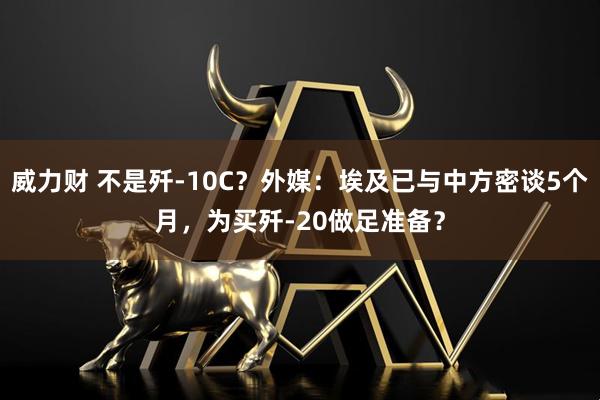 威力财 不是歼-10C？外媒：埃及已与中方密谈5个月，为买歼-20做足准备？