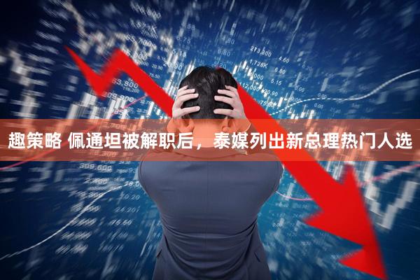 趣策略 佩通坦被解职后，泰媒列出新总理热门人选