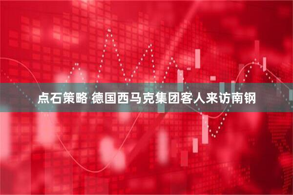 点石策略 德国西马克集团客人来访南钢