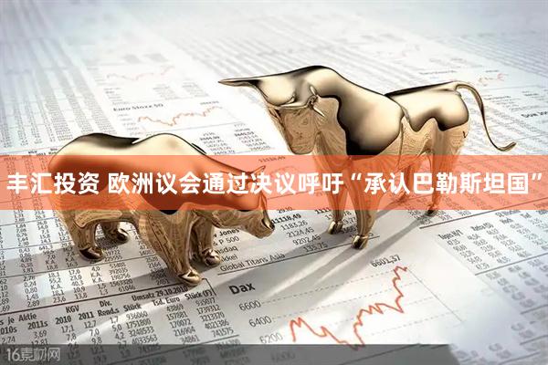 丰汇投资 欧洲议会通过决议呼吁“承认巴勒斯坦国”