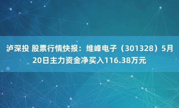 泸深投 股票行情快报：维峰电子（301328）5月20日主力资金净买入116.38万元